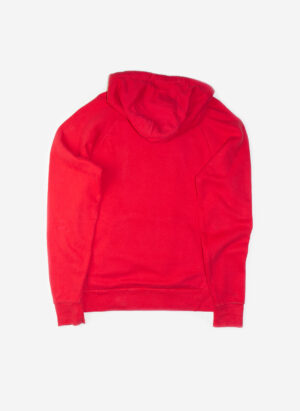 THE NORTH FACE HOODIE