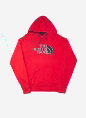 THE NORTH FACE HOODIE