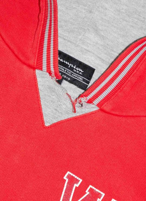 VINTAGE CHAMPION WAYNE STATE UNIVERSITY HOODIE – Bild 3