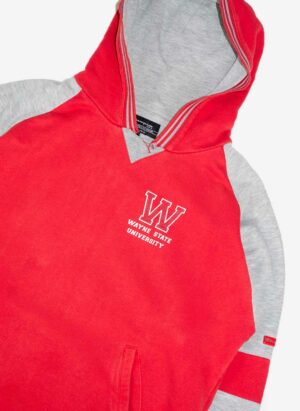 VINTAGE CHAMPION WAYNE STATE UNIVERSITY HOODIE