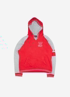 VINTAGE CHAMPION WAYNE STATE UNIVERSITY HOODIE