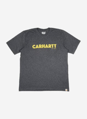 Carhartt T-Shirt grau