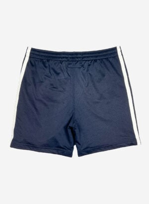 Hollister Shorts navy