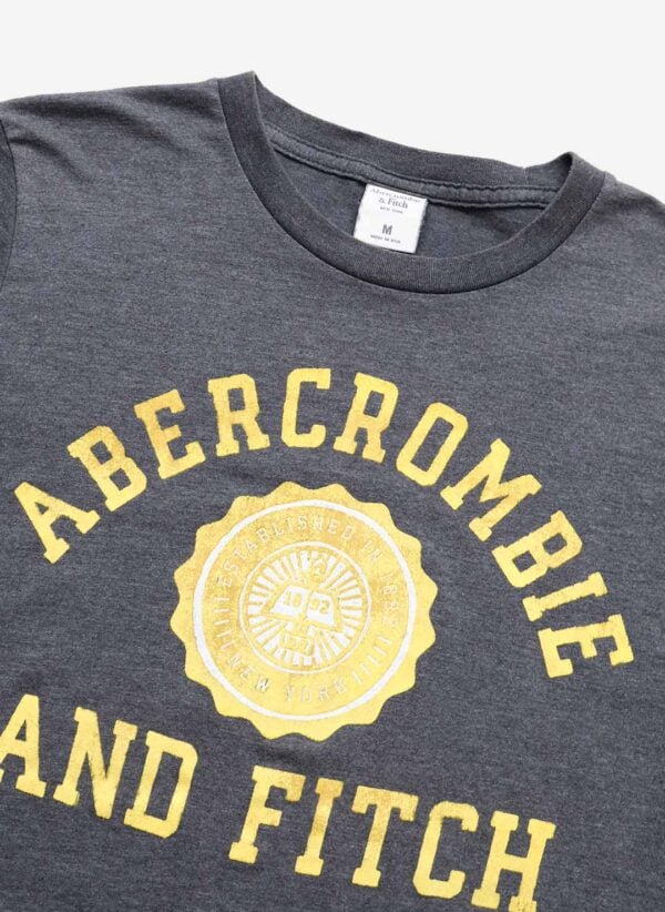 Abercrombie & Fitch T-Shirt grau