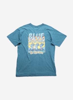 Vintage 90s Blue Mountains T-Shirt Single Stitch